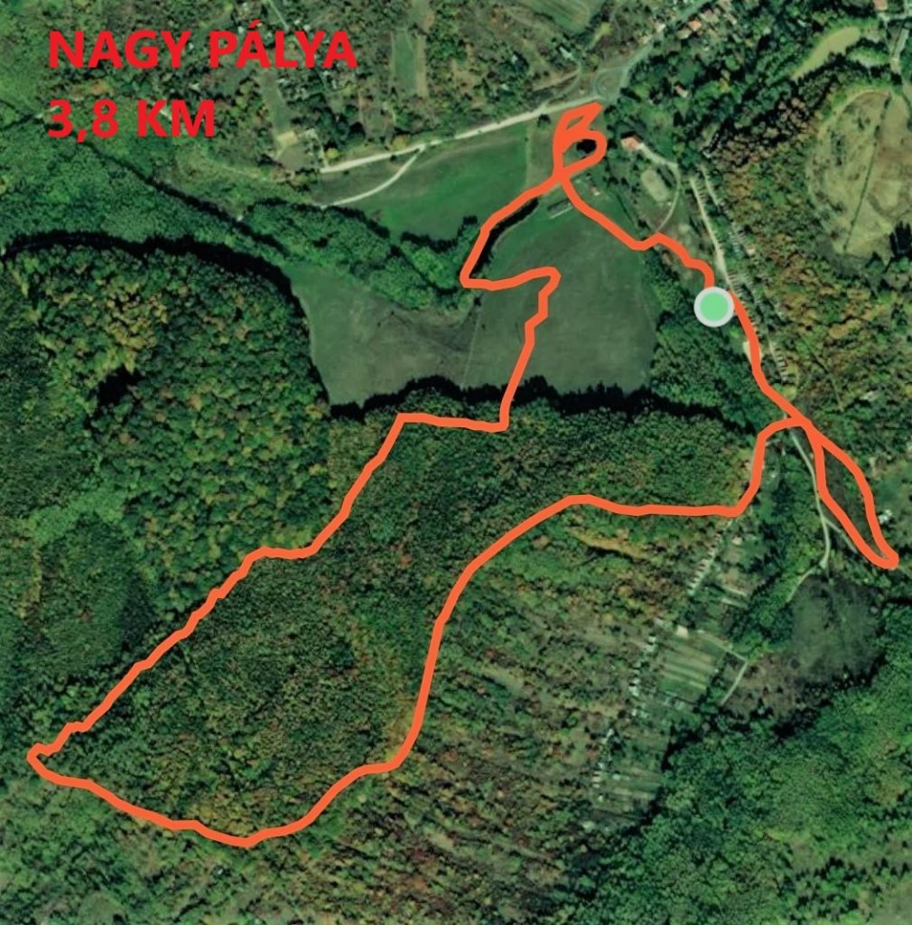 Nagy pálya